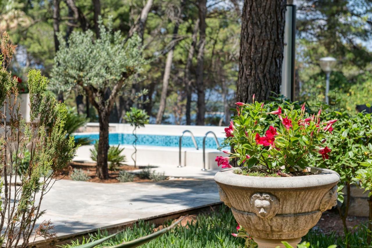 Tamar Jelsa (Hvar)